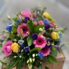 posy-bright