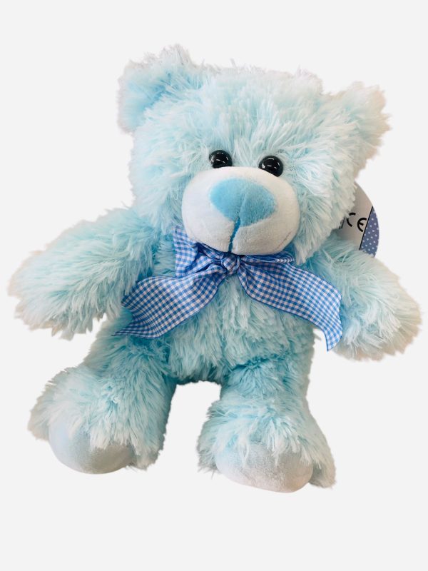 Cute Baby Bear - Blue