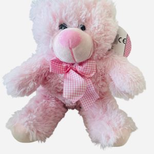 Cute Baby Bear