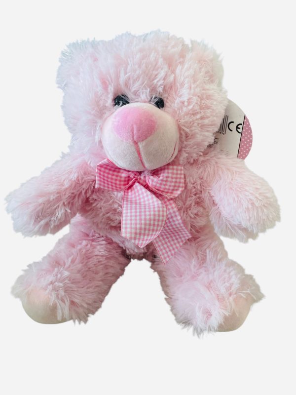 Cute Baby Bear